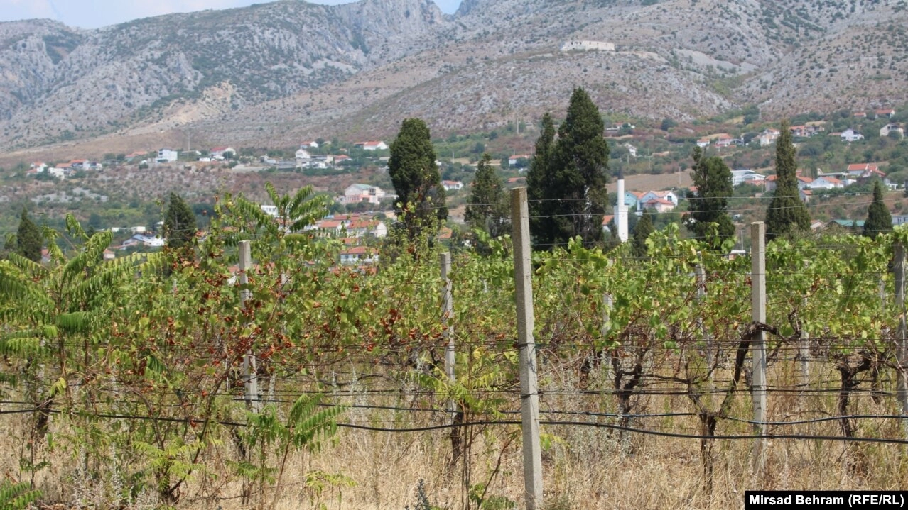 Hercegovina na 40+ stepeni: Spržena zemlja i suha riječna korita